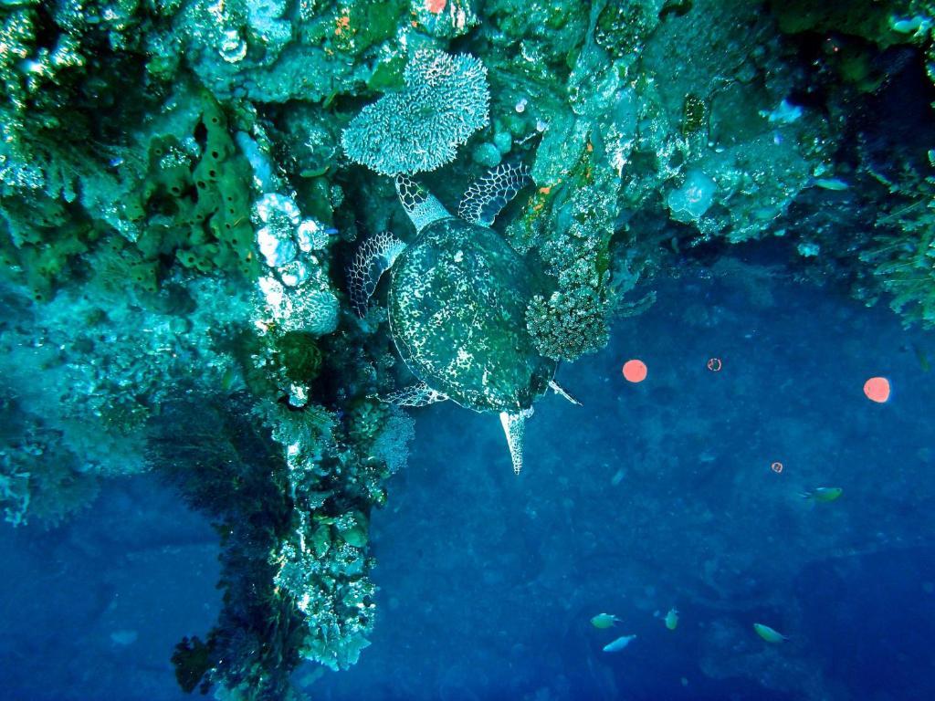 Toyabali Resort, Dive & Relax Tulamben  Exterior photo